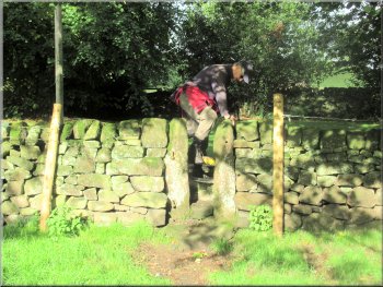 Squeeze stile from the field on to a surfaced access road